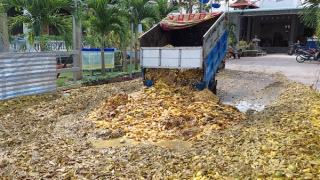 37 tấn rác thải "bốc mùi" chưa qua xử lý "vô tư" xả ra môi trường