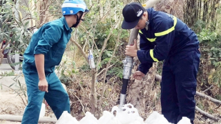 Chủ động phòng, chống cháy rừng