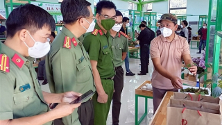 Khai trương Khu trung tâm giới thiệu, tổ chức hội chợ, phiên chợ sâm Ngọc Linh