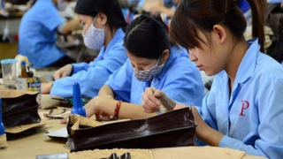 Cần đào tạo nghề và tạo việc làm cho phụ nữ di cư