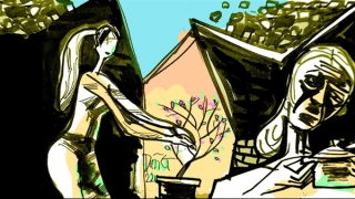 Cành mai nở muộn