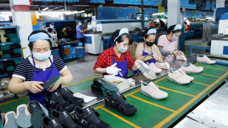 Xuất khẩu hàng hóa tăng trưởng khả quan