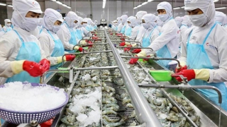 Tăng cường cảnh báo sớm về phòng vệ thương mại