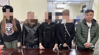 Bi hài chuyện "sưu tập gà Tây"