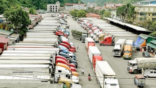 Cần chuyển xuất khẩu nông sản sang chính ngạch càng sớm càng tốt