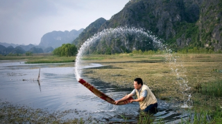 Từ nước tới nước
