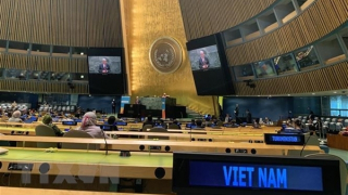 Việt Nam ủng hộ cải tổ LHQ thành một tổ chức mạnh hơn, hiệu quả hơn