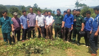 Ngăn cái chết đến từ lá ngón