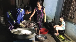 Mùa cá cơm than đến làng Nam Ô