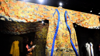 Sắc màu vương giả