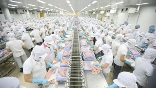 Xuất khẩu vào thị trường CPTPP khá ấn tượng