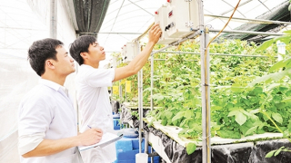 Cần cơ chế đặc biệt trong thu hút và trọng dụng nhân tài