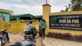 Nữ công nhân tử vong trong xưởng chế biến dăm gỗ