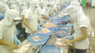 Gia tăng xuất khẩu nông sản vào thị trường EU