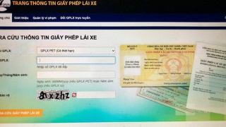 Đề nghị xử lý các trang tra cứu thông tin giấy phép lái xe giả