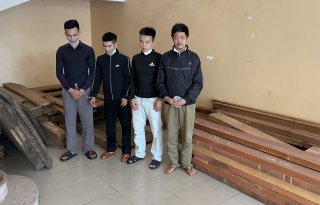 Ổ nhóm kéo xe lôi nẫng gỗ sưa sa lưới