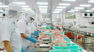 Xuất khẩu thủy sản tăng mạnh ở thị trường trọng điểm