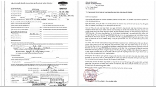 Nhân viên công ty bảo hiểm giả chữ ký khách hàng để rút tiền