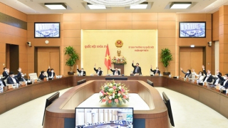 Người nghiện 12-18 tuổi không tự nguyện cai thì bị đưa vào cơ sở cai nghiện bắt buộc