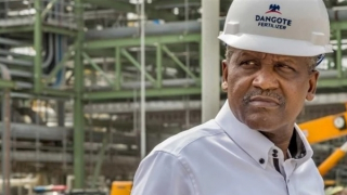 Đại gia chi tỷ đô mở nhà máy phân bón vì ... "được dân yêu cầu"