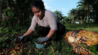 Honduras, thiên trường ca của đất và máu