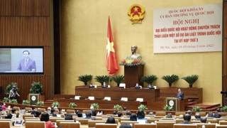 Phát huy vai trò then chốt và kiến thức chuyên sâu để góp ý vào 4 dự án luật