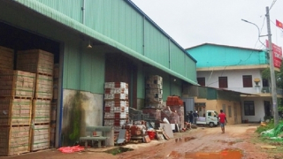 Cán bộ xã ngang nhiên xây nhà trái phép trên đất nông nghiệp