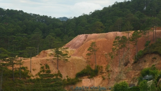 San ủi, hủy hoại đất quy mô lớn ở Lâm Đồng
