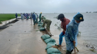 Giúp dân đắp đê ngăn lũ trái mùa cứu lúa