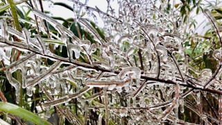 Fansipan xuất hiện băng giá phủ trắng giữa mùa Xuân