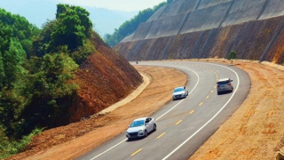 Bình Định, Quảng Ngãi đề nghị chuyển mục đích sử dụng hơn 85 ha rừng để làm cao tốc