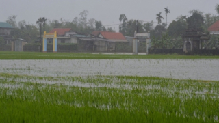 Hạ du sông Bồ bị ngập nặng