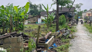 Văn bản đấu giá thiếu dấu phẩy, lô đất tăng sốc gấp hơn 10 lần