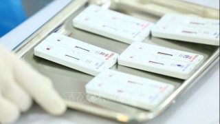 Công bố kết luận thanh tra việc mua sắm phục vụ phòng, chống dịch COVID-19