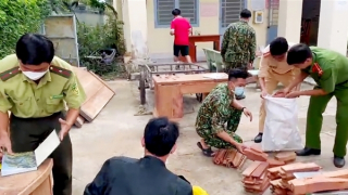 Bắt quả tang đối tượng vận chuyển đồ gỗ nhập lậu tại khu vực biên giới tỉnh An Giang