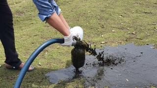 Lần thứ hai “tưới nhầm” chất thải bẩn cho cây cỏ trong công viên (?)