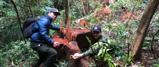 Khởi tố vụ khai thác trái phép rừng Khu bảo tồn thiên nhiên Bắc Hướng Hoá