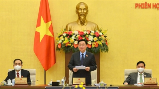 Tăng cường kỷ luật, kỷ cương trong công tác xây dựng pháp luật