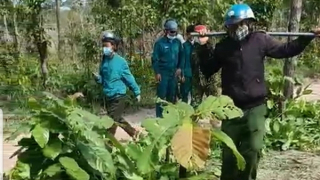 Tổng cục Lâm nghiệp vào cuộc vụ nhân viên bảo vệ rừng bị hành hung