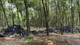 Truy tìm đối tượng đổ trộm 20 tấn rác thải trong lô cao su