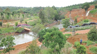 Sẽ xử lý người đứng đầu nếu để xảy ra sai phạm