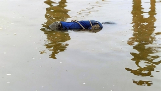 Phát hiện thi thể nam giới trôi sông trong tư thế bị trói