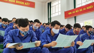 Đôn đốc triển khai quyết liệt, hiệu quả công tác cai nghiện ma túy