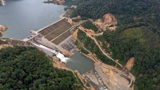 Sống trong vùng tâm chấn