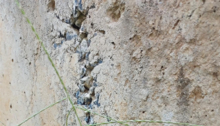 Tuyến đường trị giá hơn 131 tỷ đồng chưa bàn giao đã hư hỏng