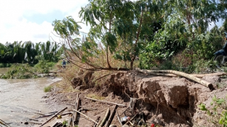 Sạt lở ở châu thổ Cửu Long diễn biến phức tạp