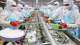 Xuất khẩu thủy sản đạt kỷ lục, lần đầu đạt 1 tỷ USD/tháng