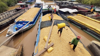 Châu thổ Cửu Long trước thách thức và cơ hội phát triển