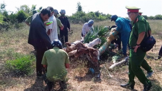 Bắt hai "lâm tặc" tấn công nhân viên bảo vệ rừng