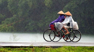 Mưa giông khắp cả nước, nhiều nơi mưa to